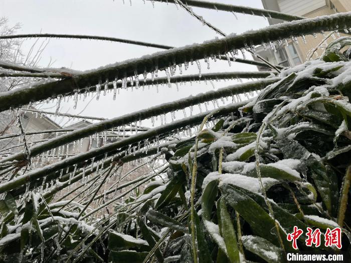 湖北低溫雨雪冰凍災害應急響應升級